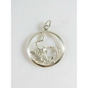 Unisex Scorpio Horoscope Sign 833 Portugal Silver Pendant or Charm 1 1/8"
